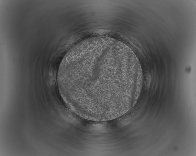 X0000096730236200803041229