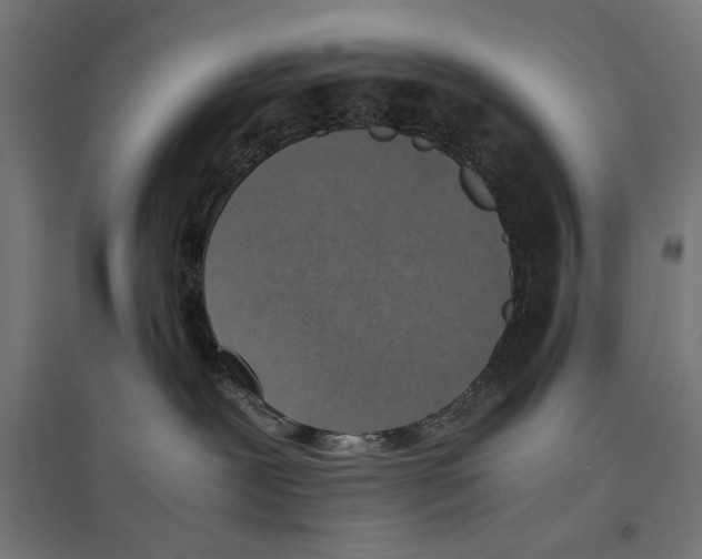 X0000096730239200803041229