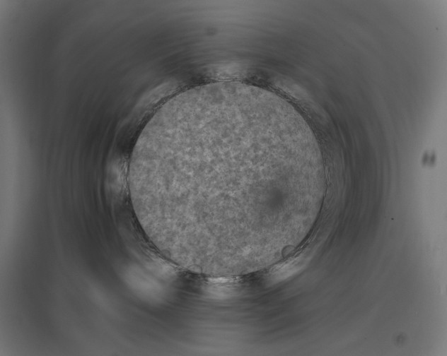 X0000096730240200803041229