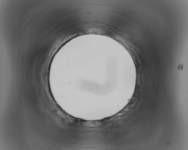 X0000096730241200803041229