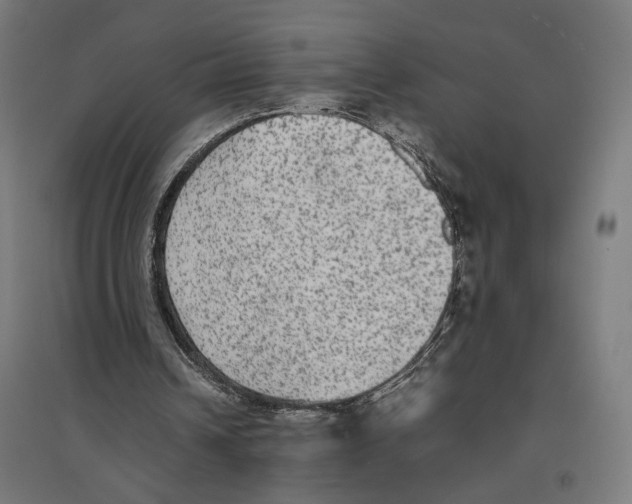 X0000096730242200803041229