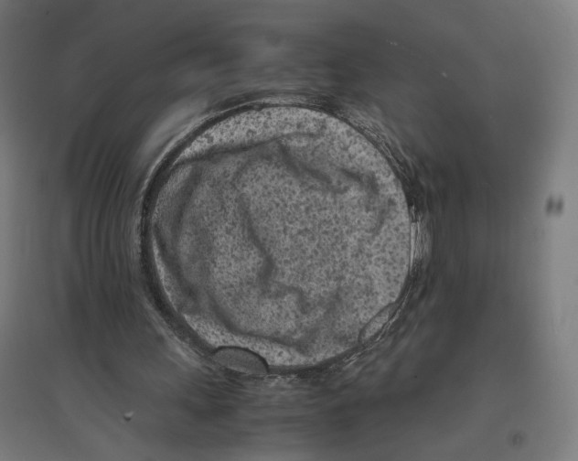X0000096730243200803041229