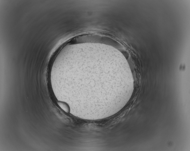 X0000096730244200803041229