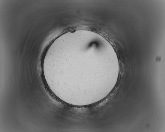 X0000096730245200803041229