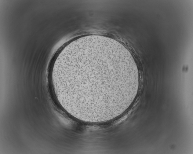 X0000096730246200803041229