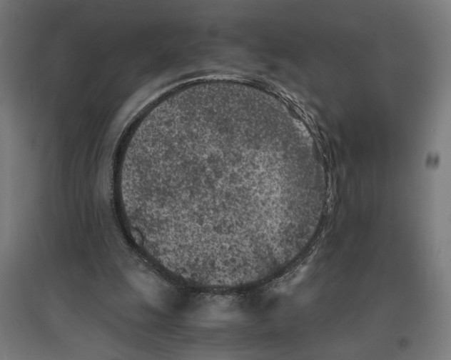 X0000096730247200803041229