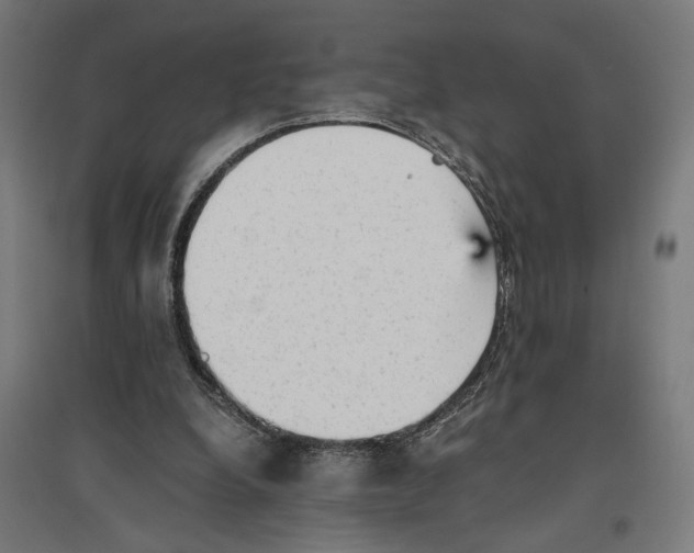 X0000096730248200803041229