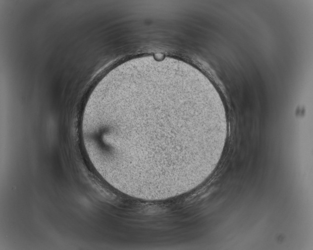 X0000096730249200803041229
