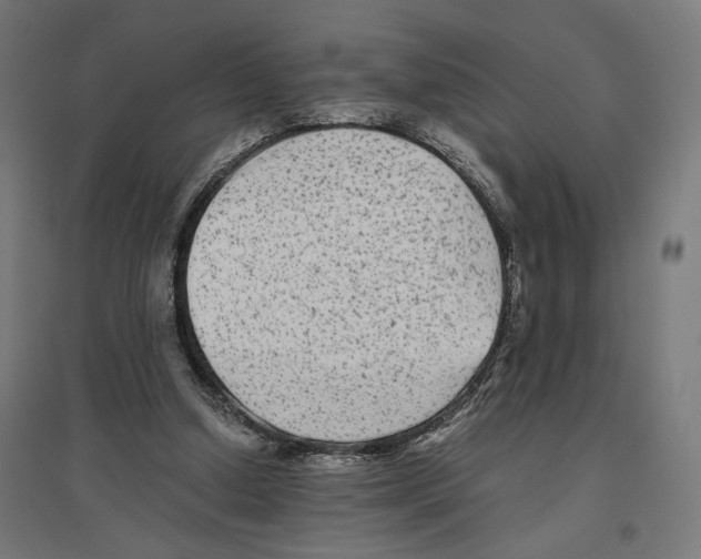X0000096730250200803041229