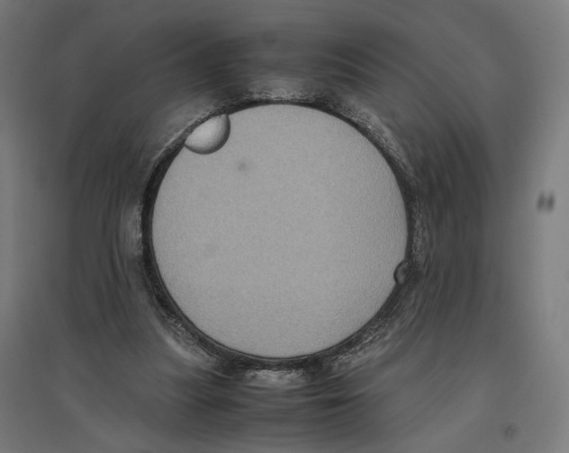 X0000096730251200803041229
