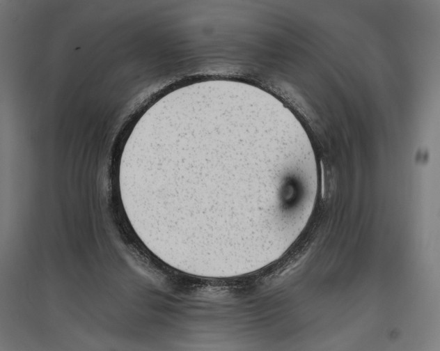 X0000096730252200803041229
