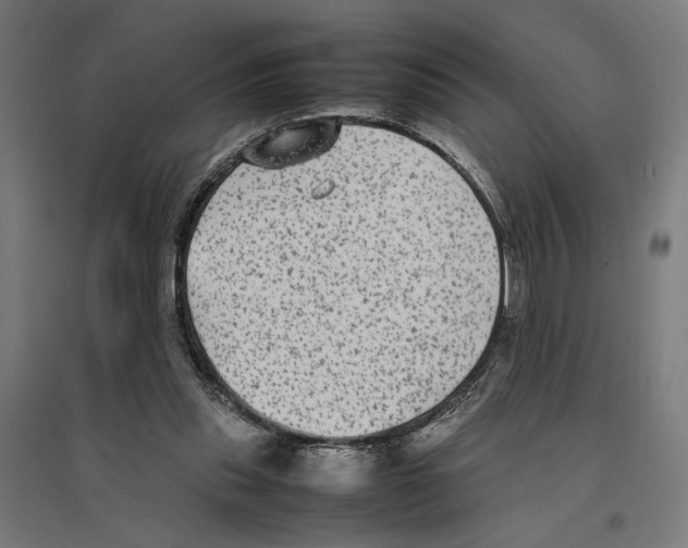 X0000096730253200803041229