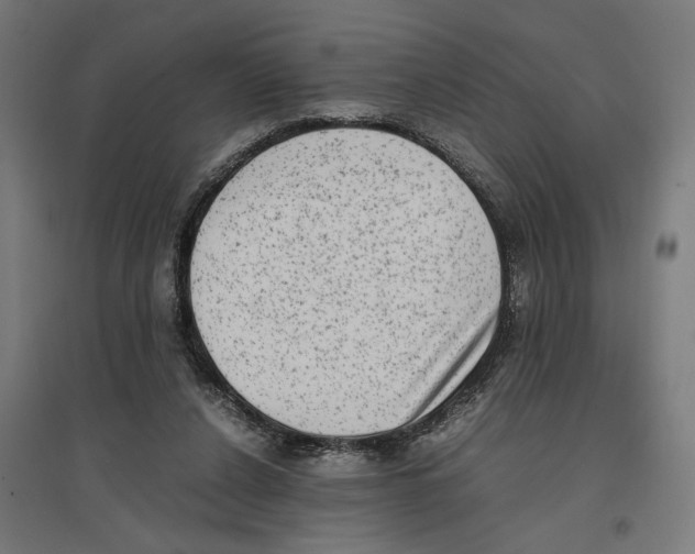 X0000096730256200803041229