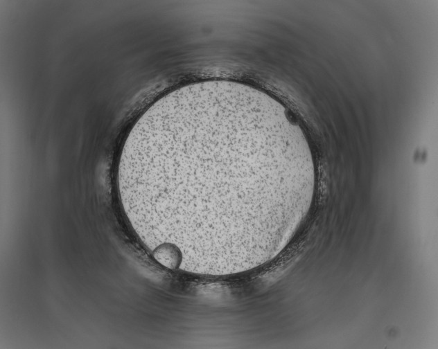 X0000096730258200803041229