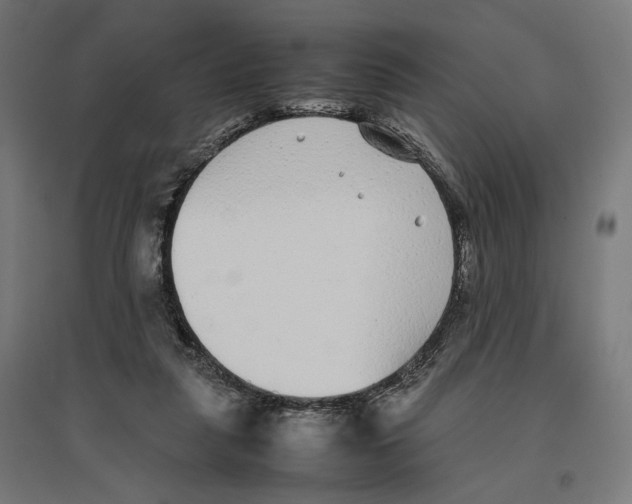X0000096730259200803041229