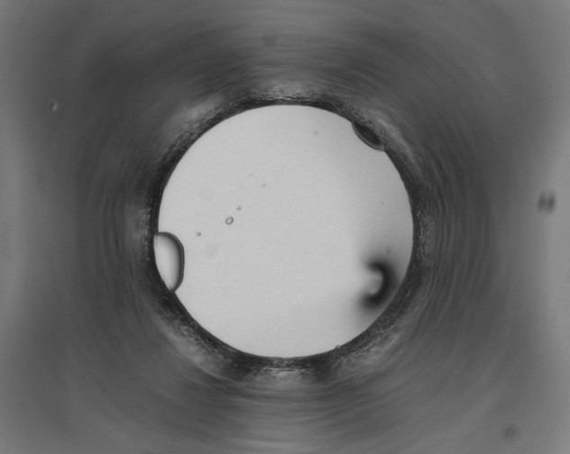 X0000096730260200803041229