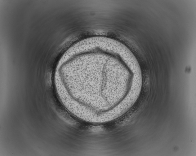 X0000096730262200803041229