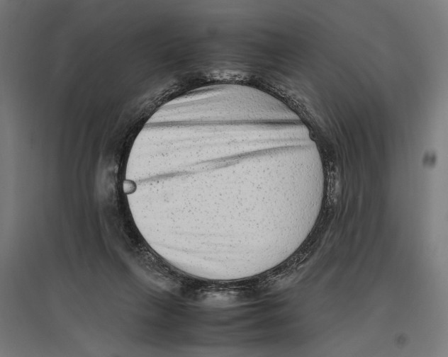 X0000096730263200803041229