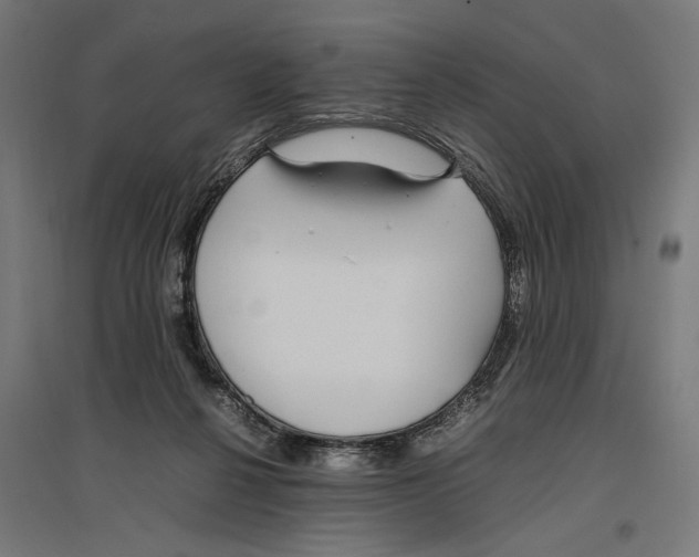 X0000096730264200803041229