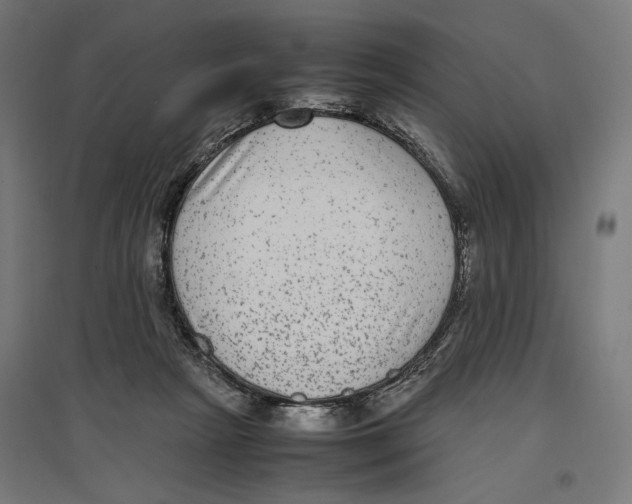 X0000096730265200803041229