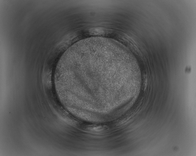 X0000096730267200803041229