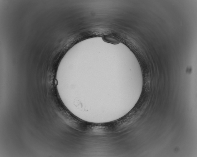 X0000096730268200803041229