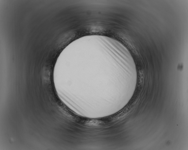 X0000096730269200803041229