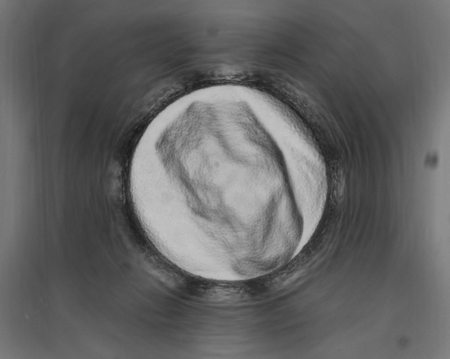 X0000096730270200803041229