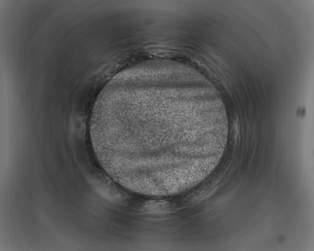 X0000096730271200803041229