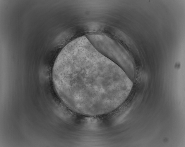 X0000096730272200803041229