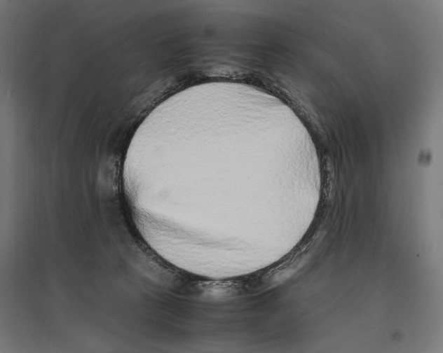 X0000096730273200803041229