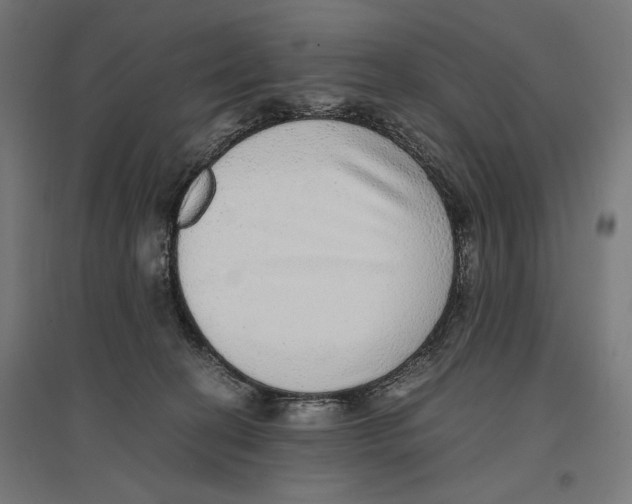 X0000096730274200803041229