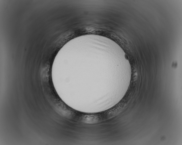 X0000096730275200803041229