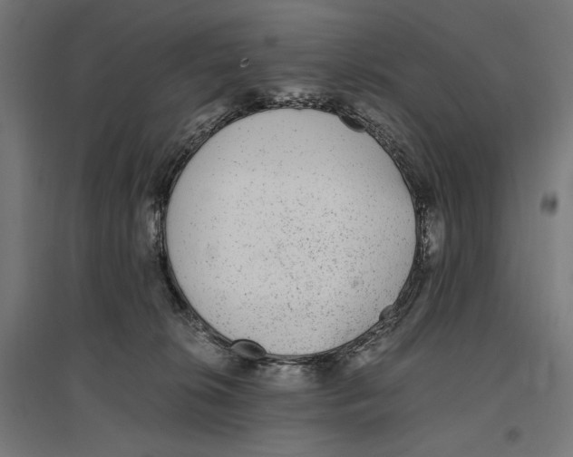 X0000096730276200803041229