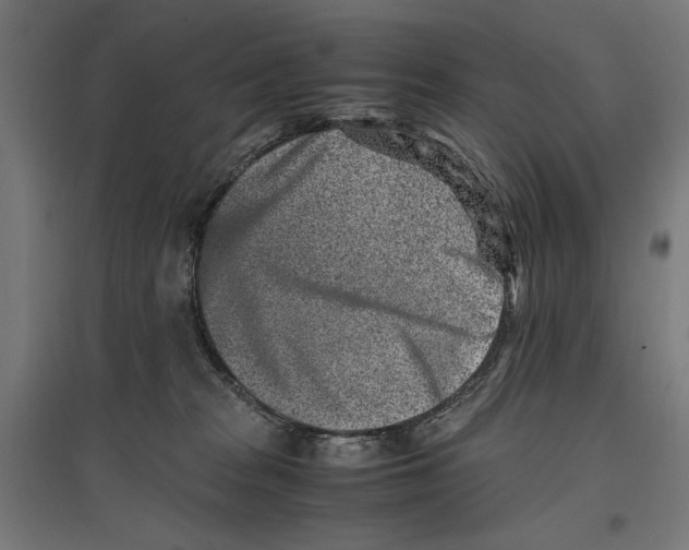 X0000096730277200803041229