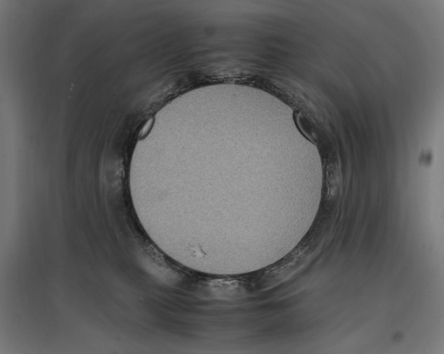 X0000096730279200803041229