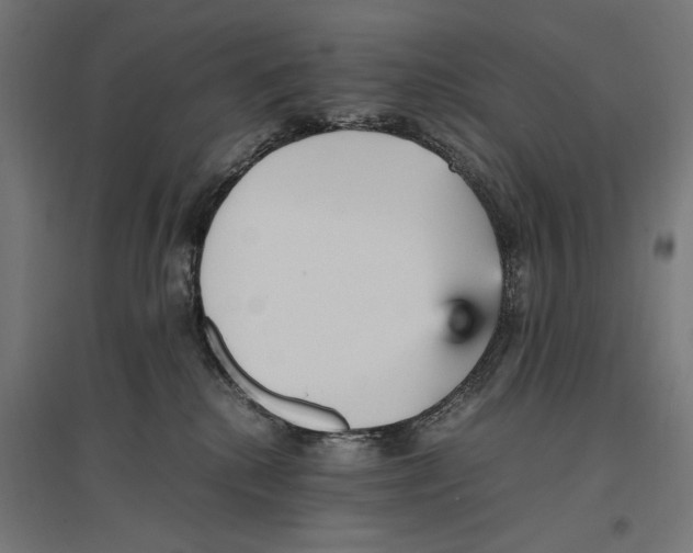 X0000096730280200803041229