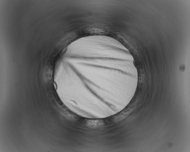 X0000096730281200803041229