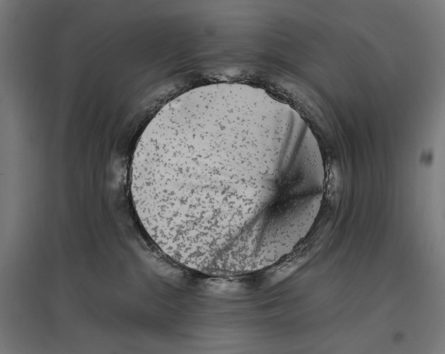X0000096730284200803041229