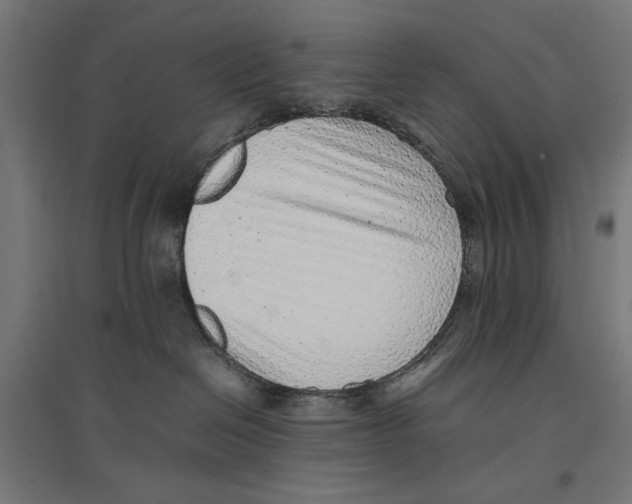 X0000096730286200803041229