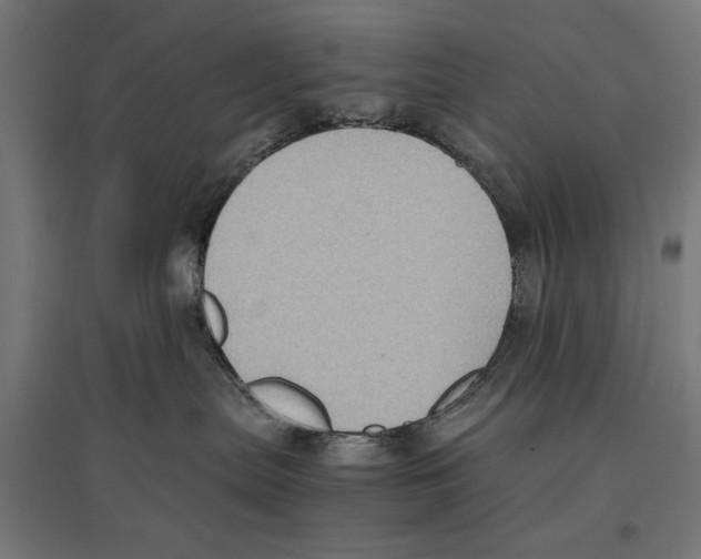 X0000096730287200803041229