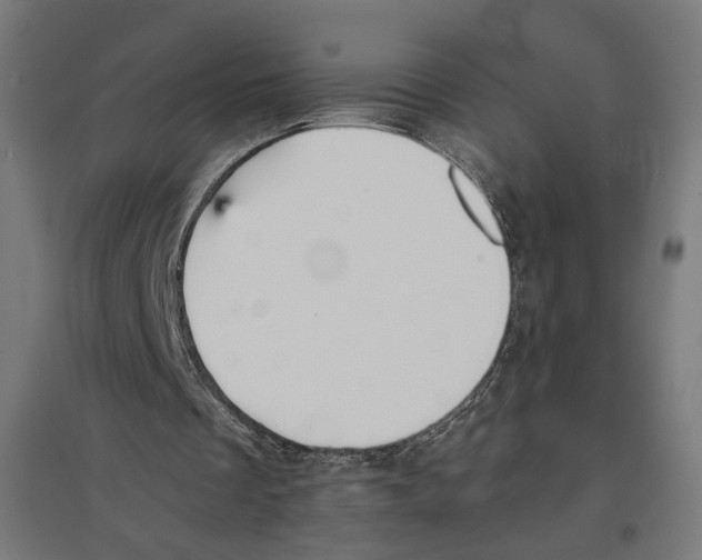 X0000096730289200803041229