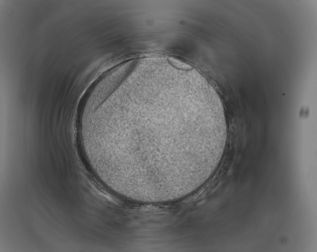 X0000096730290200803041229