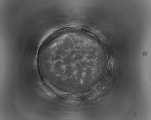 X0000096730292200803041228