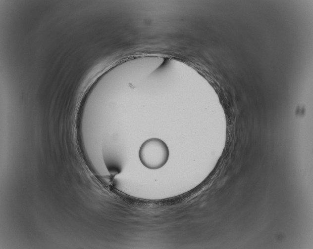 X0000096730293200803041228