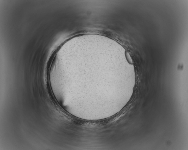 X0000096730294200803041228