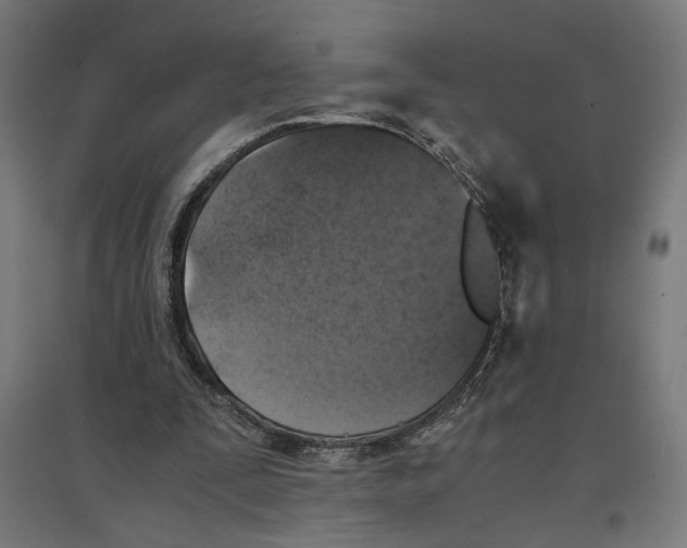 X0000096730295200803041228