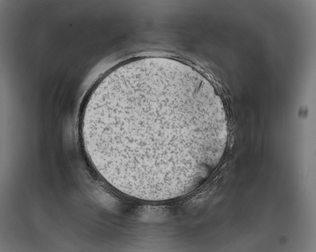 X0000096730296200803041228