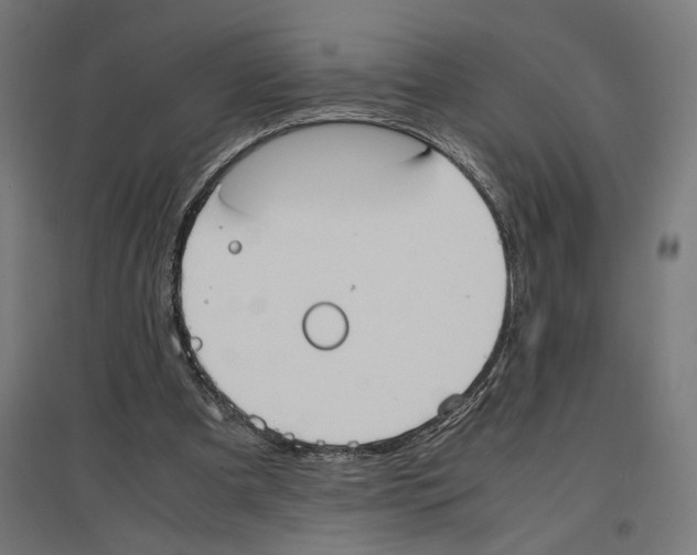 X0000096730297200803041228