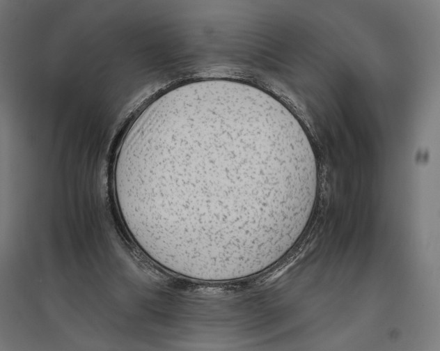 X0000096730298200803041228